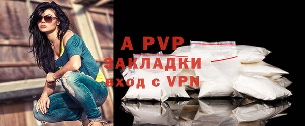 амф Аркадак