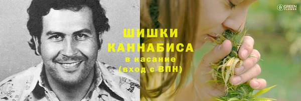 амф Аркадак