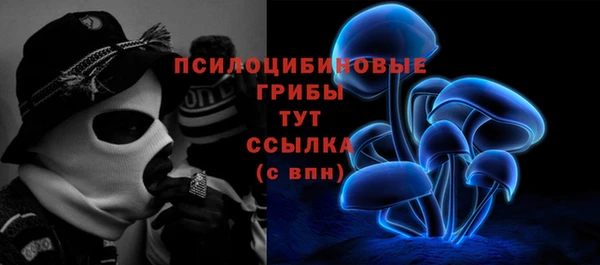 амф Аркадак