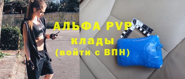 спайс Арсеньев