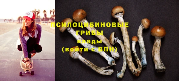 спайс Арсеньев