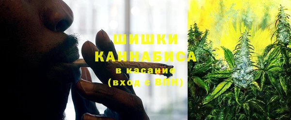 спайс Арсеньев